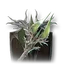 Unyielding Mace